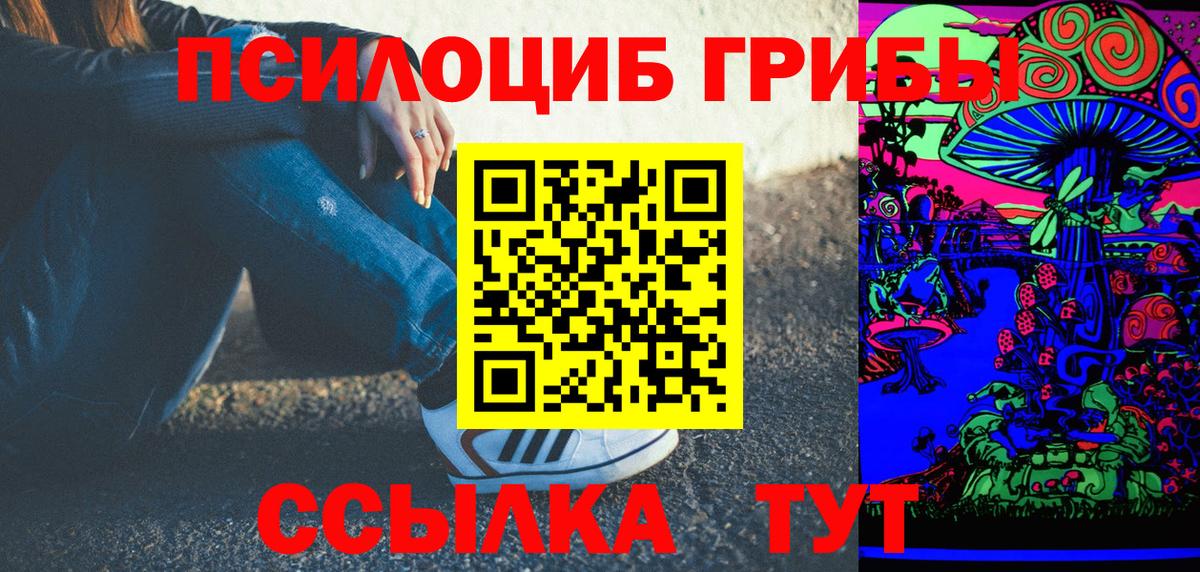 Чайковский  Галлюциногенные грибы Psilocybine cubensis  Вход с VPN 