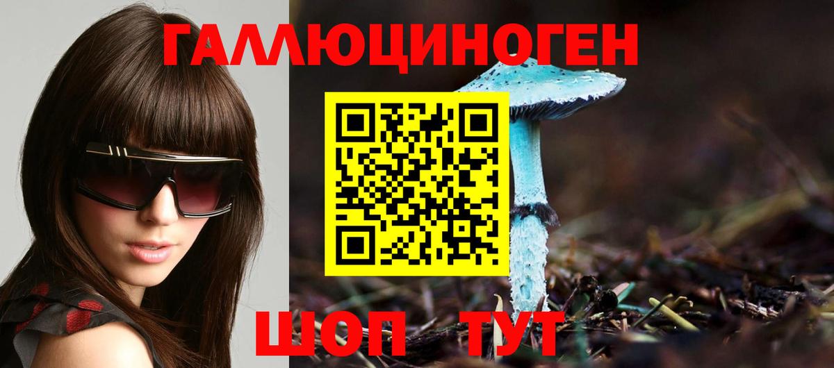 Галлюциногенные грибы мухоморы Чайковский